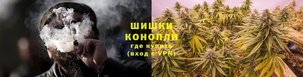 ГАЛЛЮЦИНОГЕННЫЕ ГРИБЫ Бородино