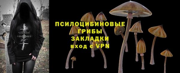 ПСИЛОЦИБИНОВЫЕ ГРИБЫ Богородск