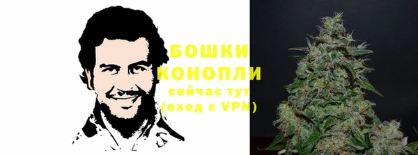 ГАЛЛЮЦИНОГЕННЫЕ ГРИБЫ Бородино