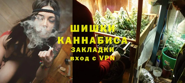 ПСИЛОЦИБИНОВЫЕ ГРИБЫ Богородск