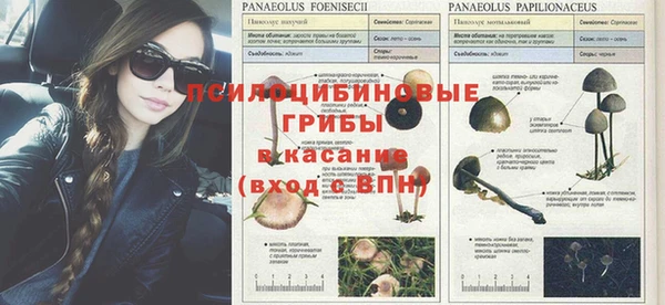 стаф Бугульма