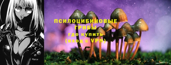 кокаин Богданович