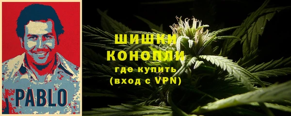 ГАЛЛЮЦИНОГЕННЫЕ ГРИБЫ Бородино