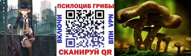 купить закладку  Кондрово  OMG ТОР  Псилоцибиновые грибы ЛСД 
